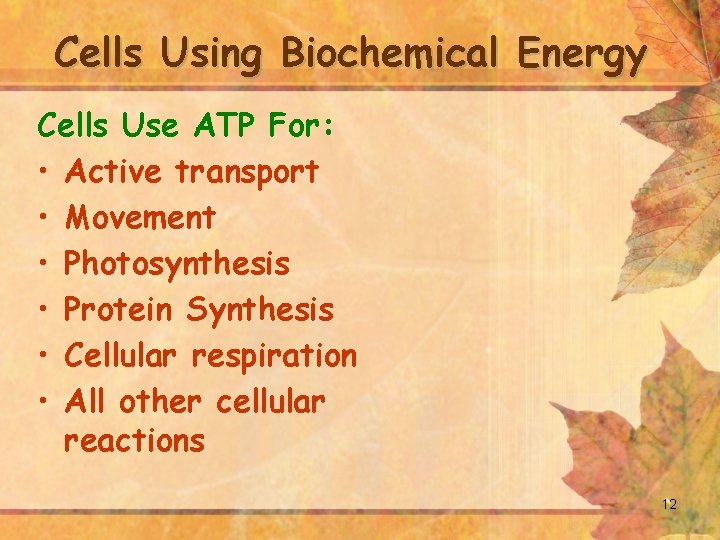 Cells Using Biochemical Energy Cells Use ATP For: • Active transport • Movement •