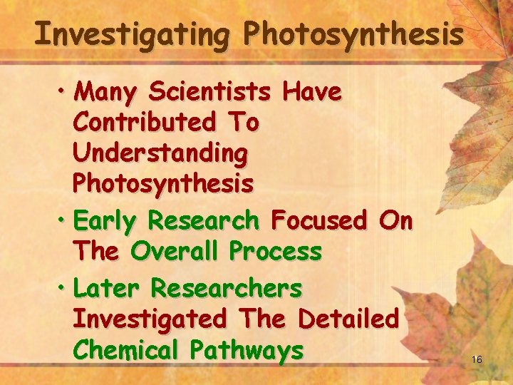 Investigating Photosynthesis • Many Scientists Have Contributed To Understanding Photosynthesis • Early Research Focused