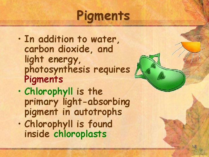 Pigments • In addition to water, carbon dioxide, and light energy, photosynthesis requires Pigments