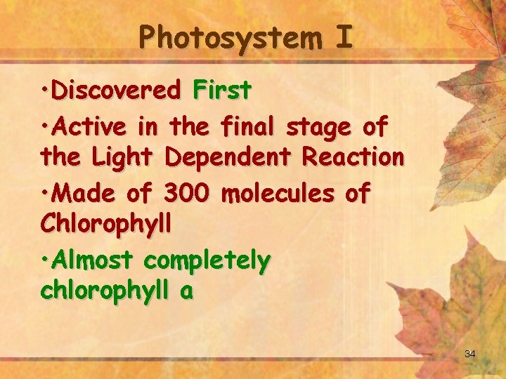 Photosystem I • Discovered First • Active in the final stage of the Light