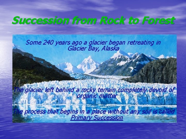 Succession from Rock to Forest Some 240 years ago a glacier began retreating in