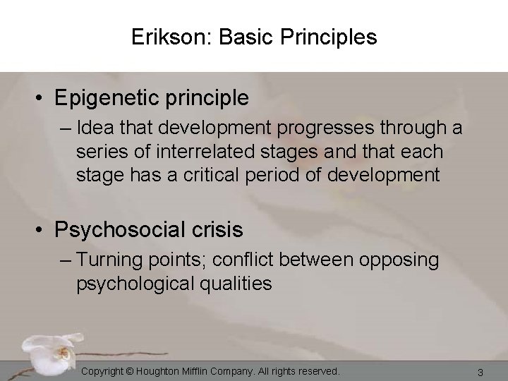 Erikson: Basic Principles • Epigenetic principle – Idea that development progresses through a series