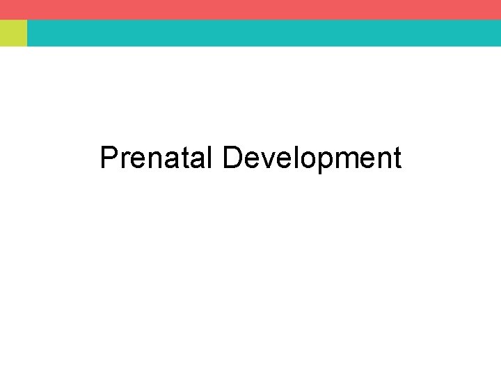 Prenatal Development 