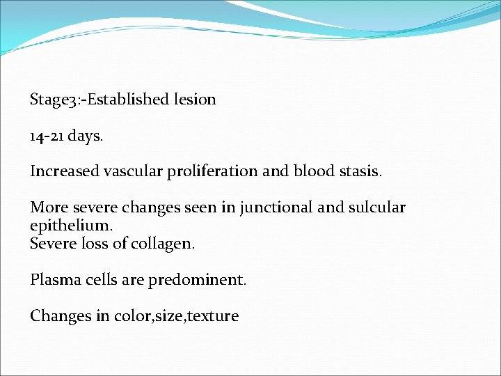 Stage 3: -Established lesion 14 -21 days. Increased vascular proliferation and blood stasis. More