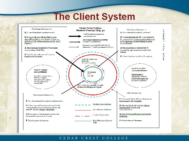 The Client System 