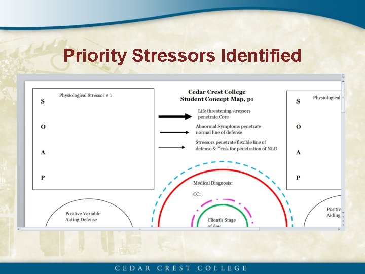 Priority Stressors Identified 