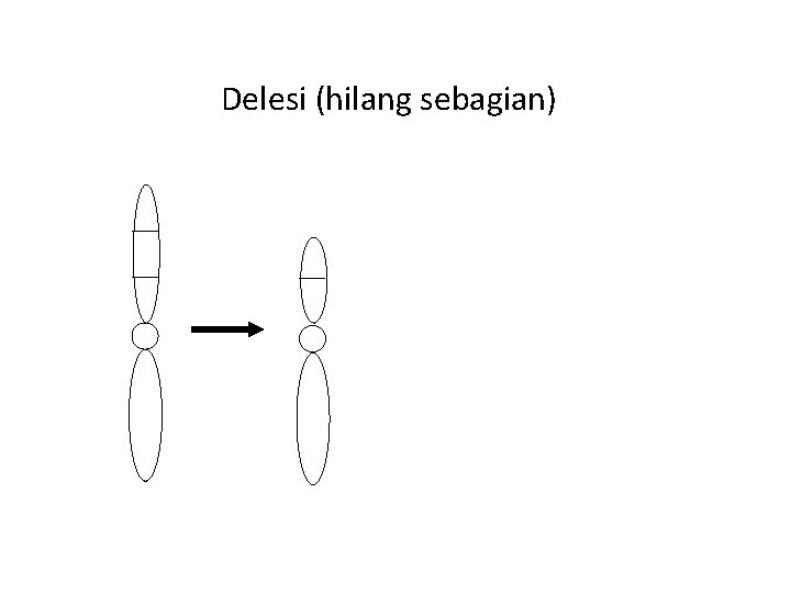Delesi (hilang sebagian) 