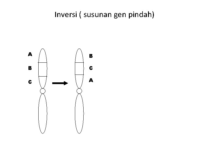 Inversi ( susunan gen pindah) A B B C C A 