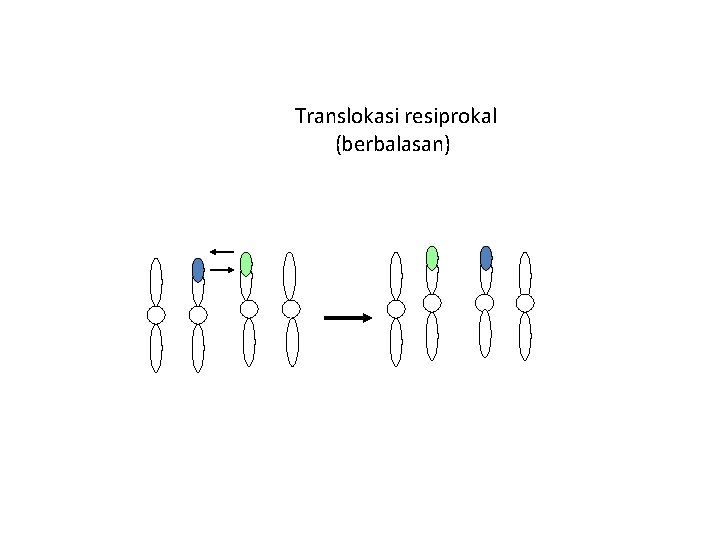 Translokasi resiprokal (berbalasan) 