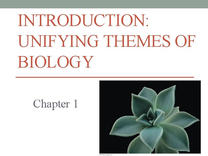 INTRODUCTION: UNIFYING THEMES OF BIOLOGY Chapter 1 