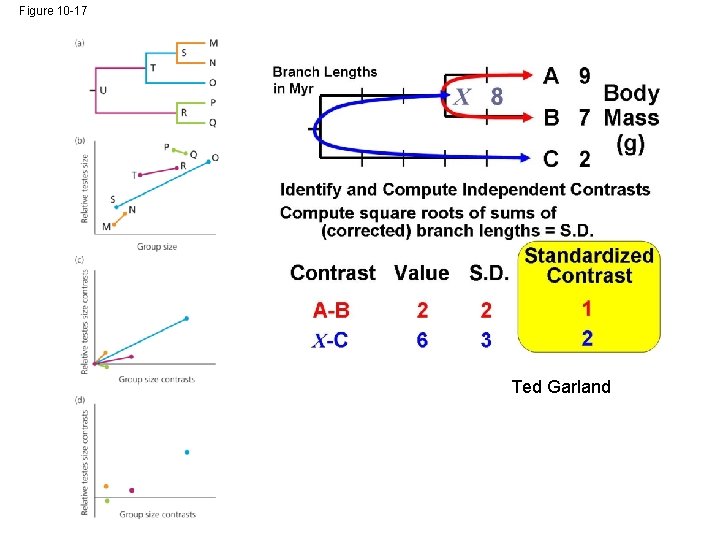 Figure 10 -17 Ted Garland 