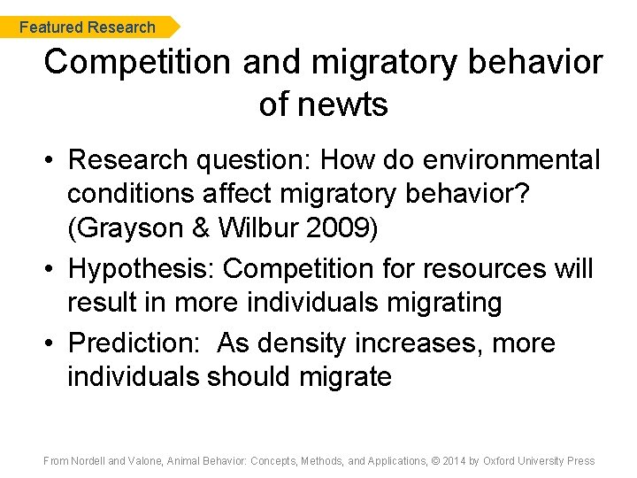 Featured Research Competition and migratory behavior of newts • Research question: How do environmental
