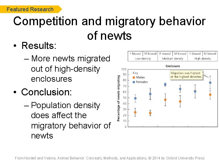 Featured Research Competition and migratory behavior of newts • Results: – More newts migrated