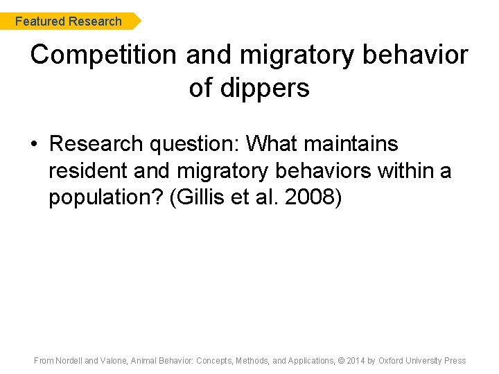 Featured Research Competition and migratory behavior of dippers • Research question: What maintains resident