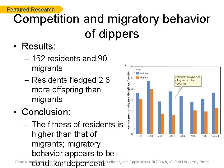 Featured Research Competition and migratory behavior of dippers • Results: – 152 residents and