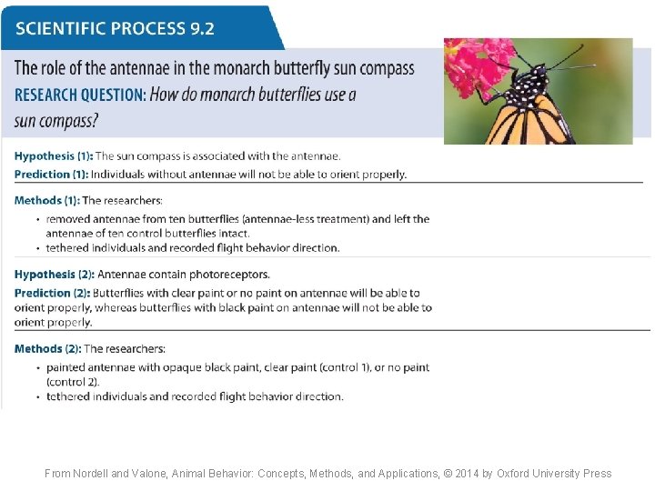 From Nordell and Valone, Animal Behavior: Concepts, Methods, and Applications, © 2014 by Oxford