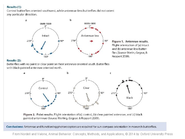 From Nordell and Valone, Animal Behavior: Concepts, Methods, and Applications, © 2014 by Oxford