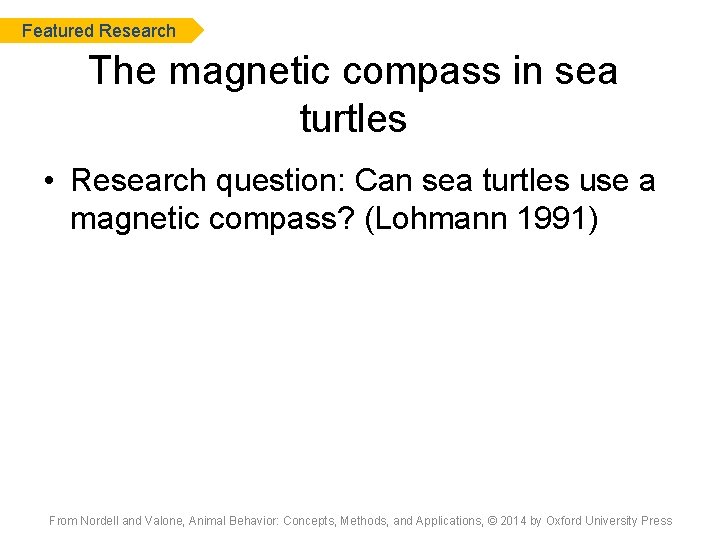Featured Research The magnetic compass in sea turtles • Research question: Can sea turtles