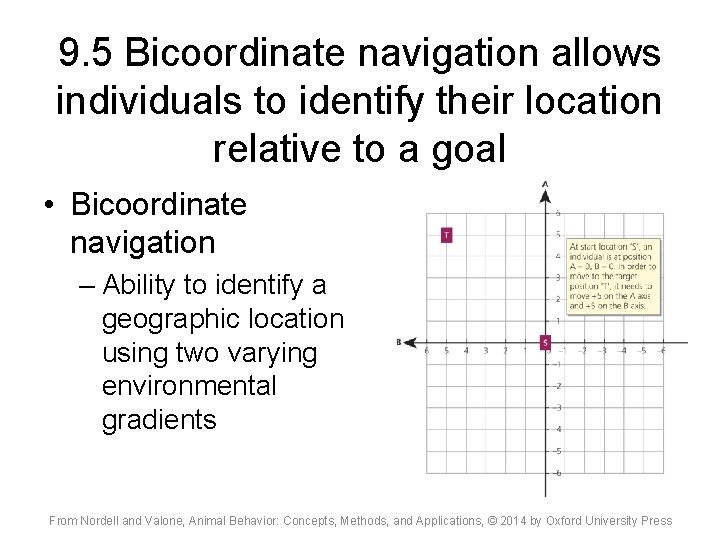 9. 5 Bicoordinate navigation allows individuals to identify their location relative to a goal