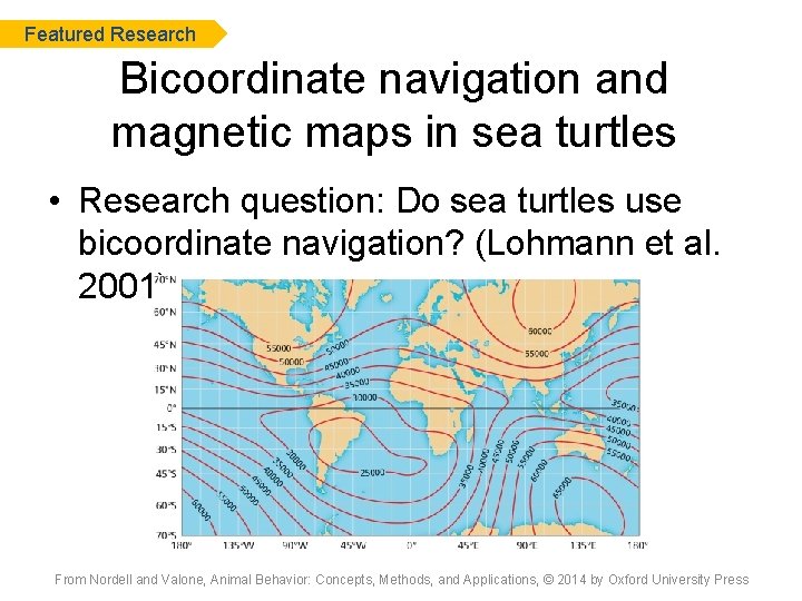 Featured Research Bicoordinate navigation and magnetic maps in sea turtles • Research question: Do