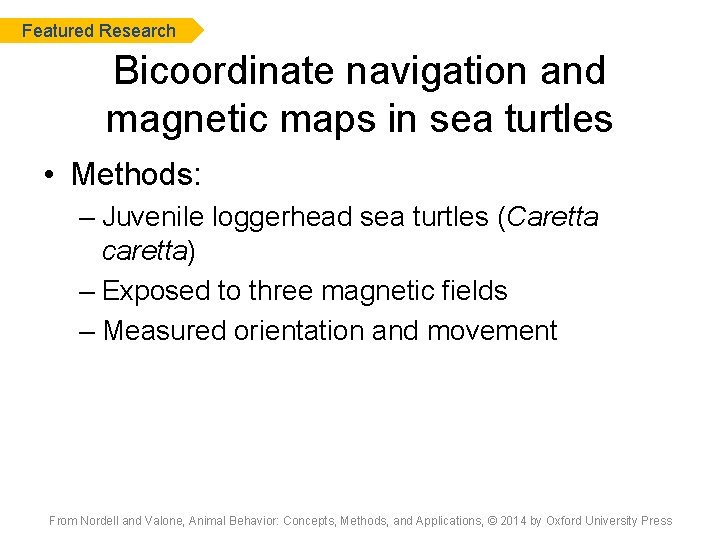 Featured Research Bicoordinate navigation and magnetic maps in sea turtles • Methods: – Juvenile
