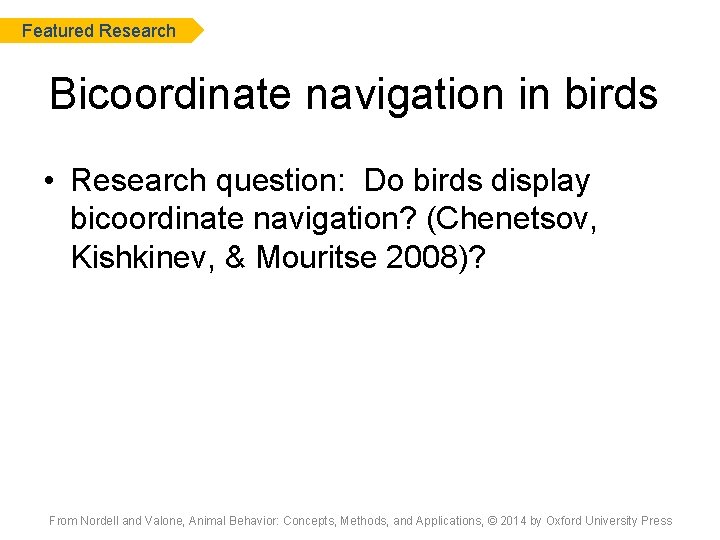 Featured Research Bicoordinate navigation in birds • Research question: Do birds display bicoordinate navigation?