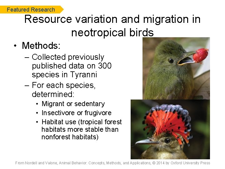 Featured Research Resource variation and migration in neotropical birds • Methods: – Collected previously