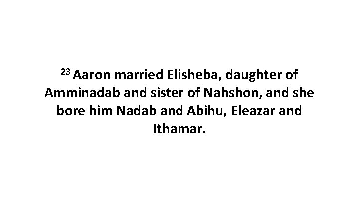 23 Aaron married Elisheba, daughter of Amminadab and sister of Nahshon, and she bore