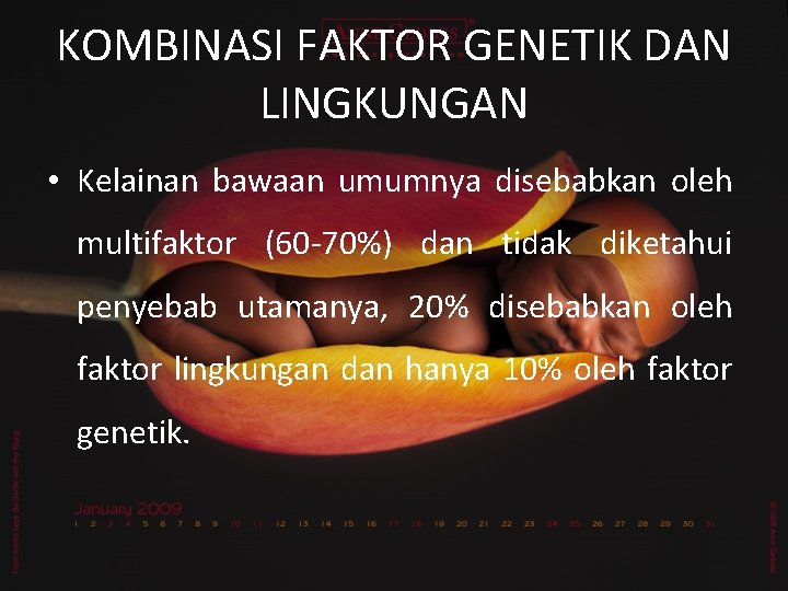 KOMBINASI FAKTOR GENETIK DAN LINGKUNGAN • Kelainan bawaan umumnya disebabkan oleh multifaktor (60 -70%)