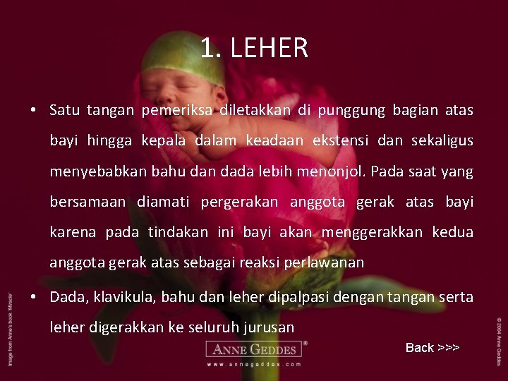 1. LEHER • Satu tangan pemeriksa diletakkan di punggung bagian atas bayi hingga kepala