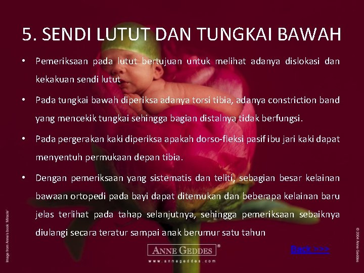5. SENDI LUTUT DAN TUNGKAI BAWAH • Pemeriksaan pada lutut bertujuan untuk melihat adanya
