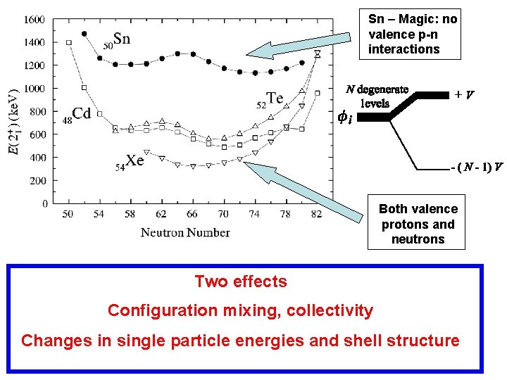 Sn – Magic: no valence p-n interactions Both valence protons and neutrons Two effects