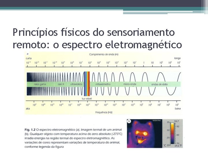 Princípios físicos do sensoriamento remoto: o espectro eletromagnético Princípios físicos do sensoriamento remoto: o espectro eletromagnético