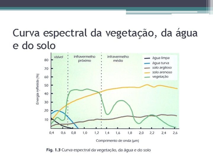 Curva espectral da vegetação, da água e do solo Curva espectral da vegetação, da água e do solo