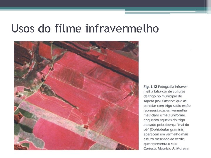 Usos do filme infravermelho Usos do filme infravermelho