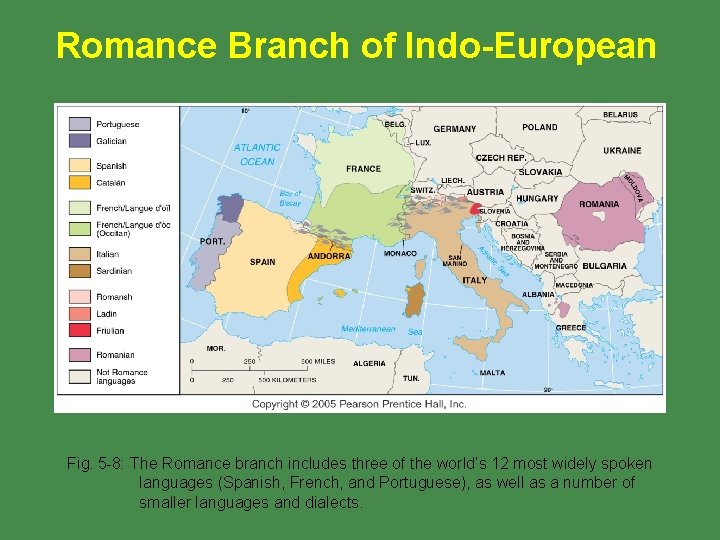 Romance Branch of Indo-European Fig. 5 -8: The Romance branch includes three of the