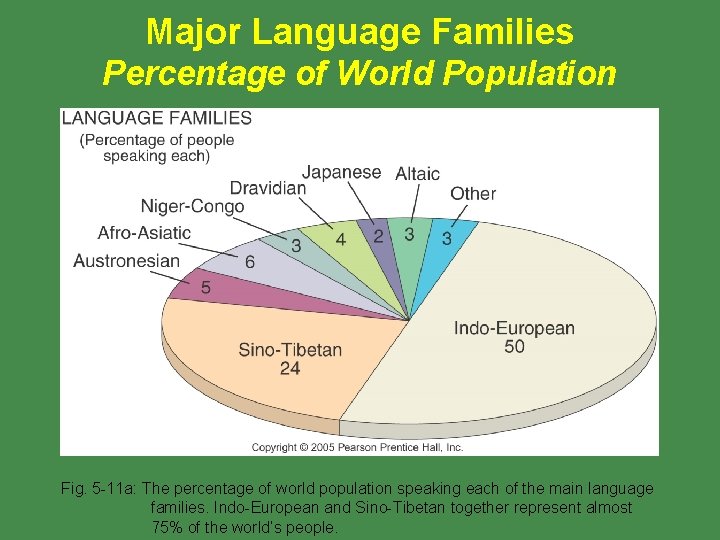 Major Language Families Percentage of World Population Fig. 5 -11 a: The percentage of