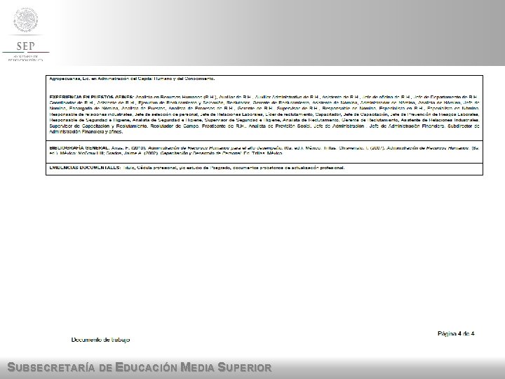 SUBSECRETARÍA DE EDUCACIÓN MEDIA SUPERIOR SUBSECRETARÍA DE EDUCACIÓN MEDIA SUPERIOR