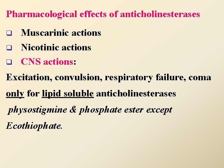 Pharmacological effects of anticholinesterases q q q Muscarinic actions Nicotinic actions CNS actions: Excitation,