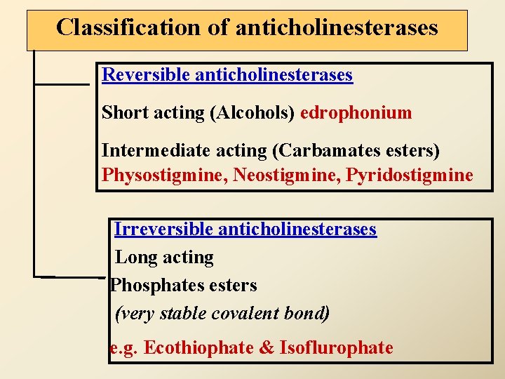 Classification of anticholinesterases Reversible anticholinesterases Short acting (Alcohols) edrophonium Intermediate acting (Carbamates esters) Physostigmine,