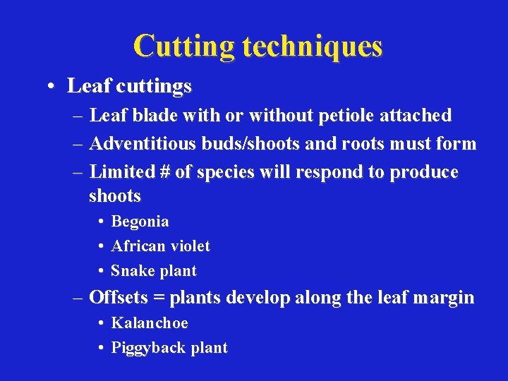 Cutting techniques • Leaf cuttings – Leaf blade with or without petiole attached –