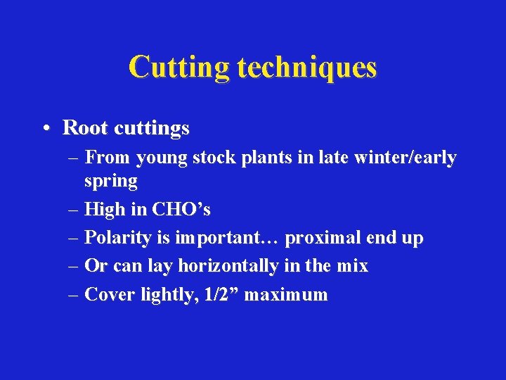 Cutting techniques • Root cuttings – From young stock plants in late winter/early spring
