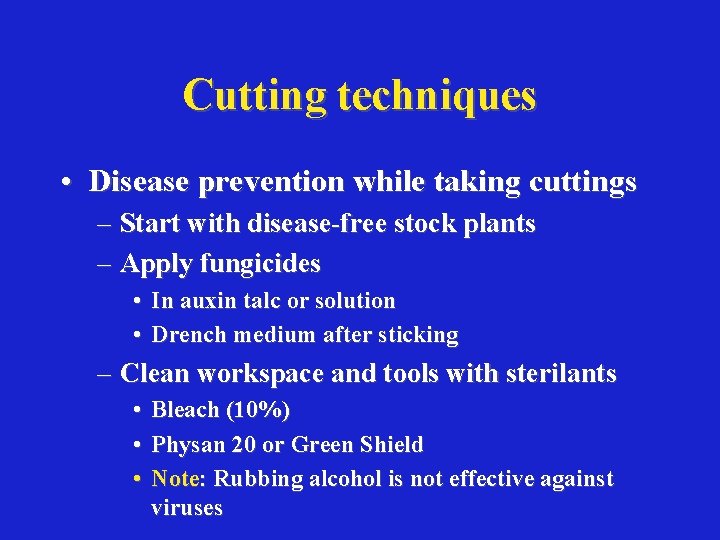 Cutting techniques • Disease prevention while taking cuttings – Start with disease-free stock plants