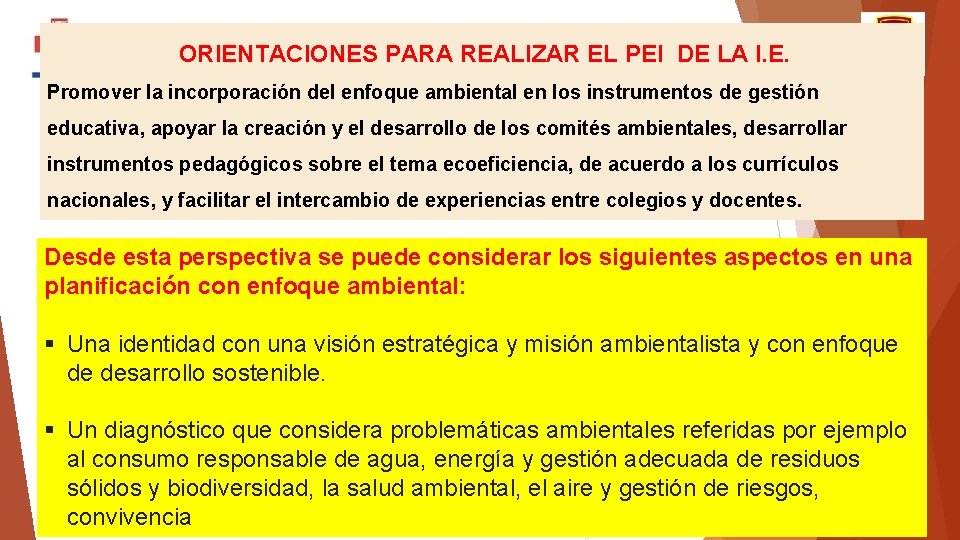 ORIENTACIONES PARA REALIZAR EL PEI DE LA I. E. Promover la incorporación del enfoque