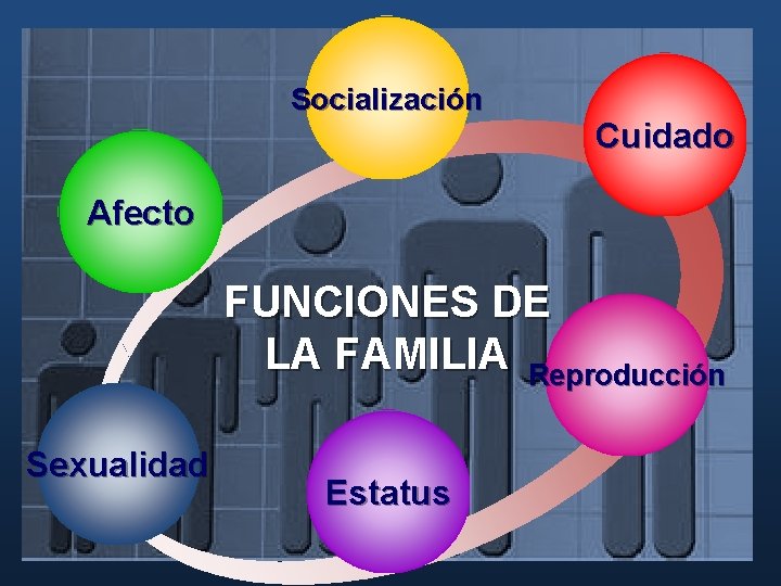 Socialización Cuidado Afecto FUNCIONES DE LA FAMILIA Reproducción Sexualidad Estatus Socialización Cuidado Afecto FUNCIONES DE LA FAMILIA Reproducción Sexualidad Estatus