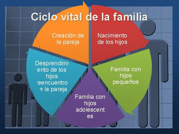 Ciclo vital de la familia Creación de la pareja Nacimiento de los hijos Desprendimi Ciclo vital de la familia Creación de la pareja Nacimiento de los hijos Desprendimi