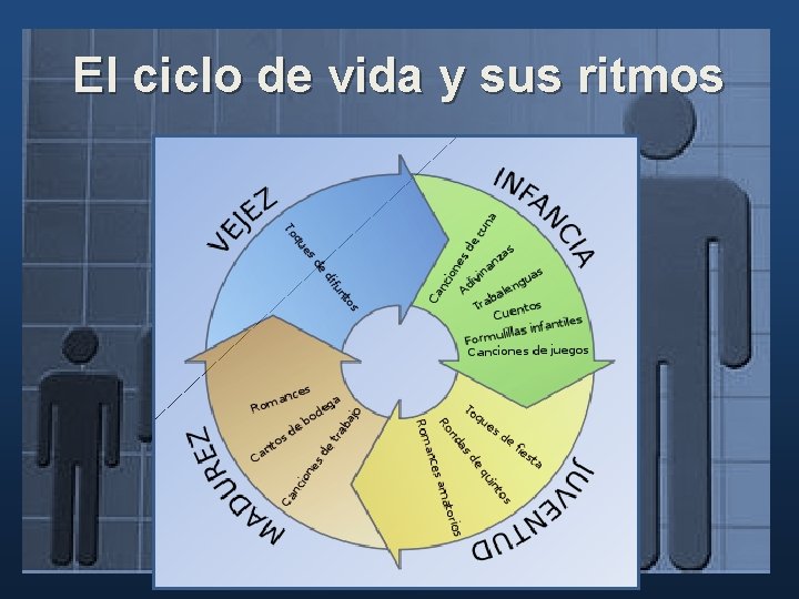 El ciclo de vida y sus ritmos El ciclo de vida y sus ritmos