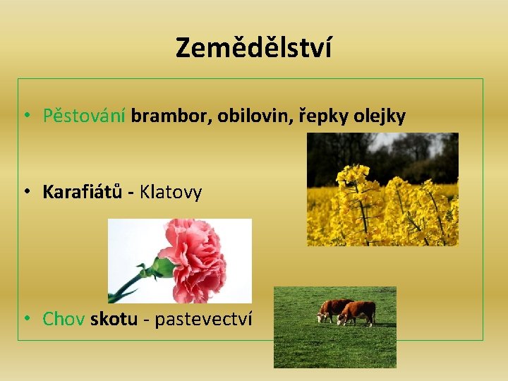 Zemědělství • Pěstování brambor, obilovin, řepky olejky • Karafiátů - Klatovy • Chov skotu Zemědělství • Pěstování brambor, obilovin, řepky olejky • Karafiátů - Klatovy • Chov skotu