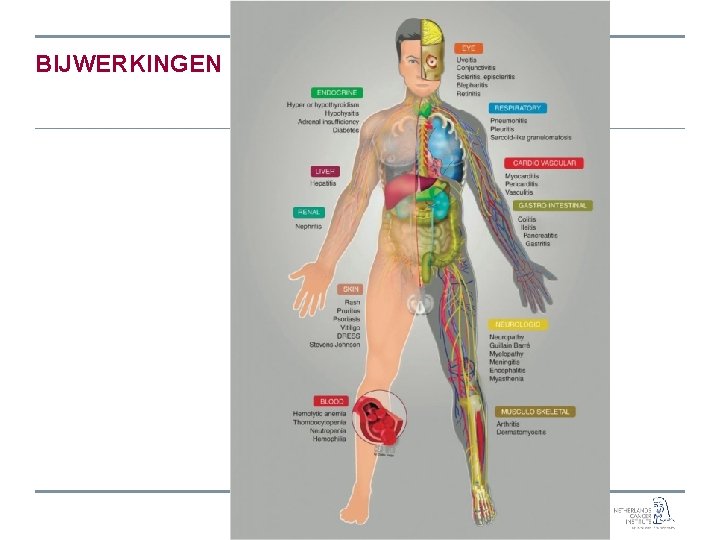 BIJWERKINGEN 