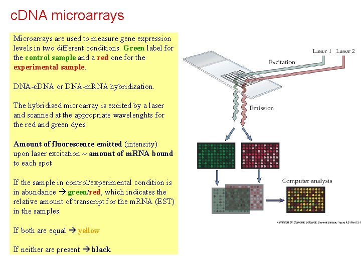 Gcdc Microarray Microarray Introduction KaLok Ng Asia University Topics to